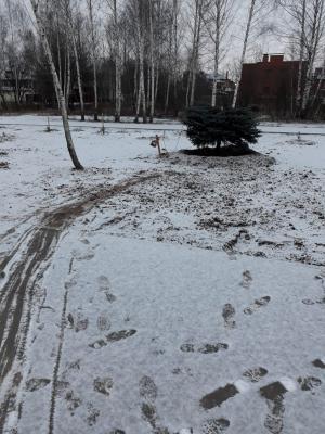 Фото пользователя ВК Игоря Чеснокова